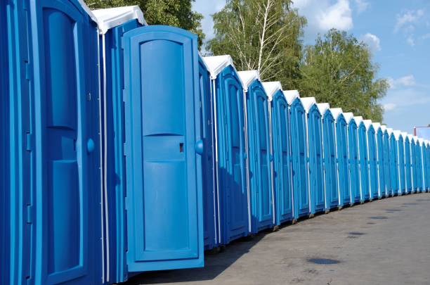 Best Sanitation services for porta potties  in Ecorse, MI